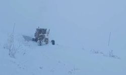 Hakkari’de 9 Köy ve 21 Mezra Yolu ulaşıma açıldı