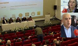 Ankara’da ‘barış ve demokrasi’ çalıştayı: Anayasa ve demokratik entegrasyon tartışıldı