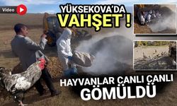 Yüksekova’da Vahşet: Kuş Gribi Gerekçesiyle Hayvanlar Canlı Canlı Gömüldü!