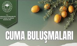 Yüksekova İlçe Tarım Müdürlüğü Köylerde Üreticilerle Buluşacak