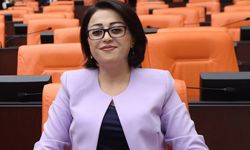 Milletvekili Bartın, Hakkari’deki yol ve sağlık sorunlarını Meclis’e taşıdı