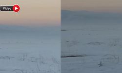 Yüksekova'da Soğuyan Havayla Kurtlar Köylere İnmeye Başladı