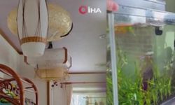 Japonya’da 6.7 büyüklüğünde deprem meydana geldi, tsunami uyarısı yapıldı