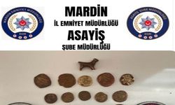 Mardin’de tarihi eser operasyonu: 45 sikke ve hayvan figürlü heykel ele geçirildi