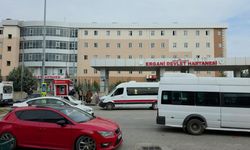 Damat katliamı: Kayınbabası ve kayınbiraderini öldürdü