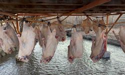 Kars kazı geleneksel yöntemlerle kurutuluyor