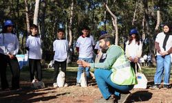 Orman ekosisteminde atıkların tehlikesi uygulamalı gösterildi