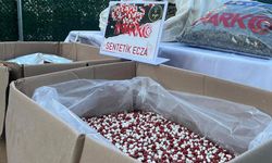 İzmir’de tek operasyonda 3 milyon uyuşturucu hap ele geçti: 46 tutuklama