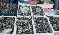 Yüksekova’da Kar Yağışıyla Birlikte Balığa Yoğun İlgi