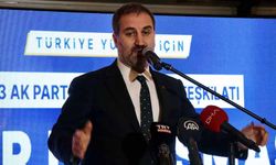 AK Partili Şen: Kayyum uygulaması düşmeli