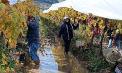 İşçiler yağmur ve çamuru aldırış etmeden üretime devam ediyor
