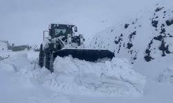 Şırnak’ta kar esareti: Beyaz örtü yarım metreyi geçti