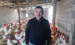 Hobiydi, iş oldu, 3 yılda 850 etlik horoz yetiştirdi