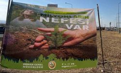 Cizre’de havalimanı yolu 450 fidan ile yeşilleniyor