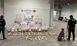 Ticaret Bakanlığı Gümrükler Muhafaza ekipleri, kaçakçılıkla mücadelesini sürdürüyor