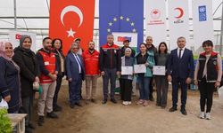 Adana’da topraksız marul yetiştiriciliği başladı