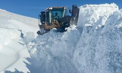 Yüksekova’da Karla Mücadele: 3 Metrelik Kar Tünellere Dönüştü