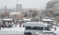 Başkale’de kar kalınlığı 20 santimetreyi geçti