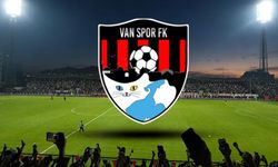 Vanspor’un yeni teknik direktörü belli oldu