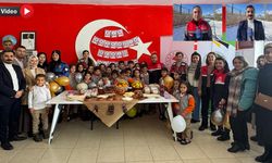 Yüksekova’da kurumlar organik beslenmeye dikkat çekti