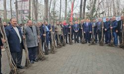 Adilcevaz’da 12 bin aşılı ceviz fidanı dağıtıldı