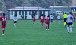 Yüksekova Spor, sahasında Beşiktaş’ı 1-0 mağlup etti