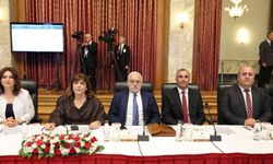 DEM Parti 'Süreç Raporu’nu kamuoyuna sundu: Raporda Neler Var?