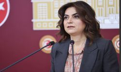 DEM Parti, TBMM’deki taciz iddiaları için araştırma istedi