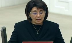 Leyla Zana’ya yönelik ırkçı saldırılara tepkiler sürüyor