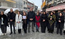DEM Parti Hakkari İl Örgütü'nden Roboski'nin 14. Yılında Adalet Çağrısı