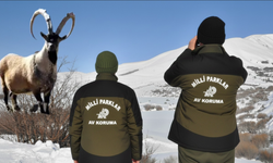 Hakkâri’de Yaban Keçisi Vuran Şahsa Rekor Ceza