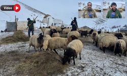 Yüksekova’da besicilerin zorlu kış mesaisi başladı