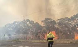 Avustralya’da devam eden orman yangınlarında itfaiye görevlisi öldü