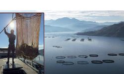 Denizi olmayan Tokat’ın somonları dünya sofralarına ulaşıyor