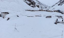 Hakkari’de Çığ Felaketi: 137 Arı Kovanı Kar Altında Kaldı