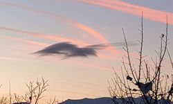 Yüksekova’da gökyüzünde doğa şöleni: Bir bulut onlarca silüet