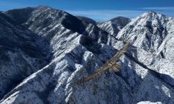 Erzurum’da sakallı akbaba dron ile görüntülendi