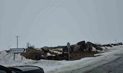 Adilcevaz’da kuduz alarmı: Bir köy karantinaya alındı