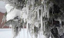 Bitlis’te karla mücadeleye rekor yakıt harcaması