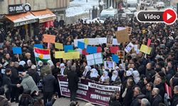 Yüksekova’da Suriye'deki olaylara ilişkin yürüyüş ve basın açıklaması