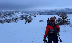 Çoban ve 9 keçisi, 3 gündür mahsur kaldığı yerden kurtarıldı