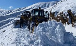 Batman’da ulaşıma kapanan 500’ün üzerindeki yerleşim yeri yolu için çalışmalar sürüyor