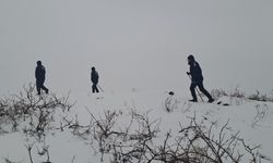 Diyarbakır’da kayıp kadın 480 kişilik ekiple aranıyor