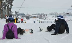 Kristal karın merkezi Sarıkamış’a kayakseverlerden yoğun ilgi