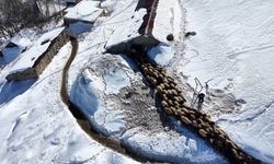 Yüksekova'da Besicilerin Kar ve Ayazla Sınavı