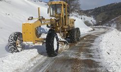 Hakkari’de Kar Yağışı Nedeniyle 220 Yerleşim Yerinin Yolu Kapandı