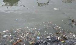 Pendik’te denize atık su alarmı: Kirlilik ve koku dayanılmaz boyuta ulaştı