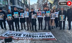 İHD Hakkari Şubesi, Yüksekova’da Metin Göktepe için adalet talep etti