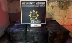 Mersin Limanı’nda 298 kilogram kokain ele geçirildi