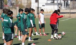 Yüksekova Spor–Trabzonspor maçı olumsuz hava koşulları nedeniyle ertelendi